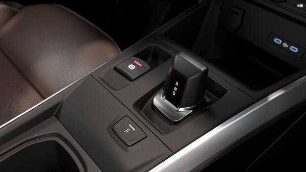 steering wheel paddles - Renault Kardian